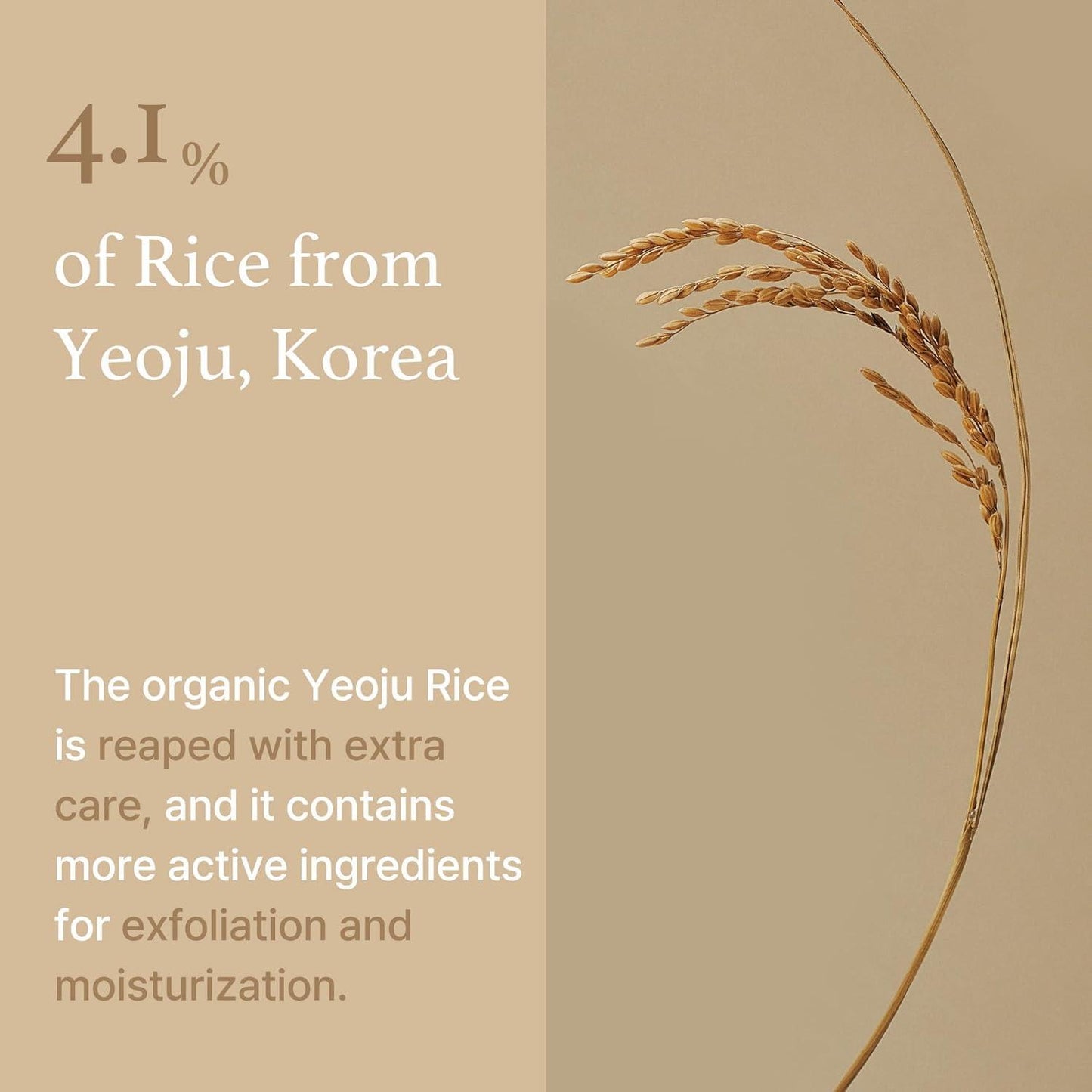 Rice Mask — 110g