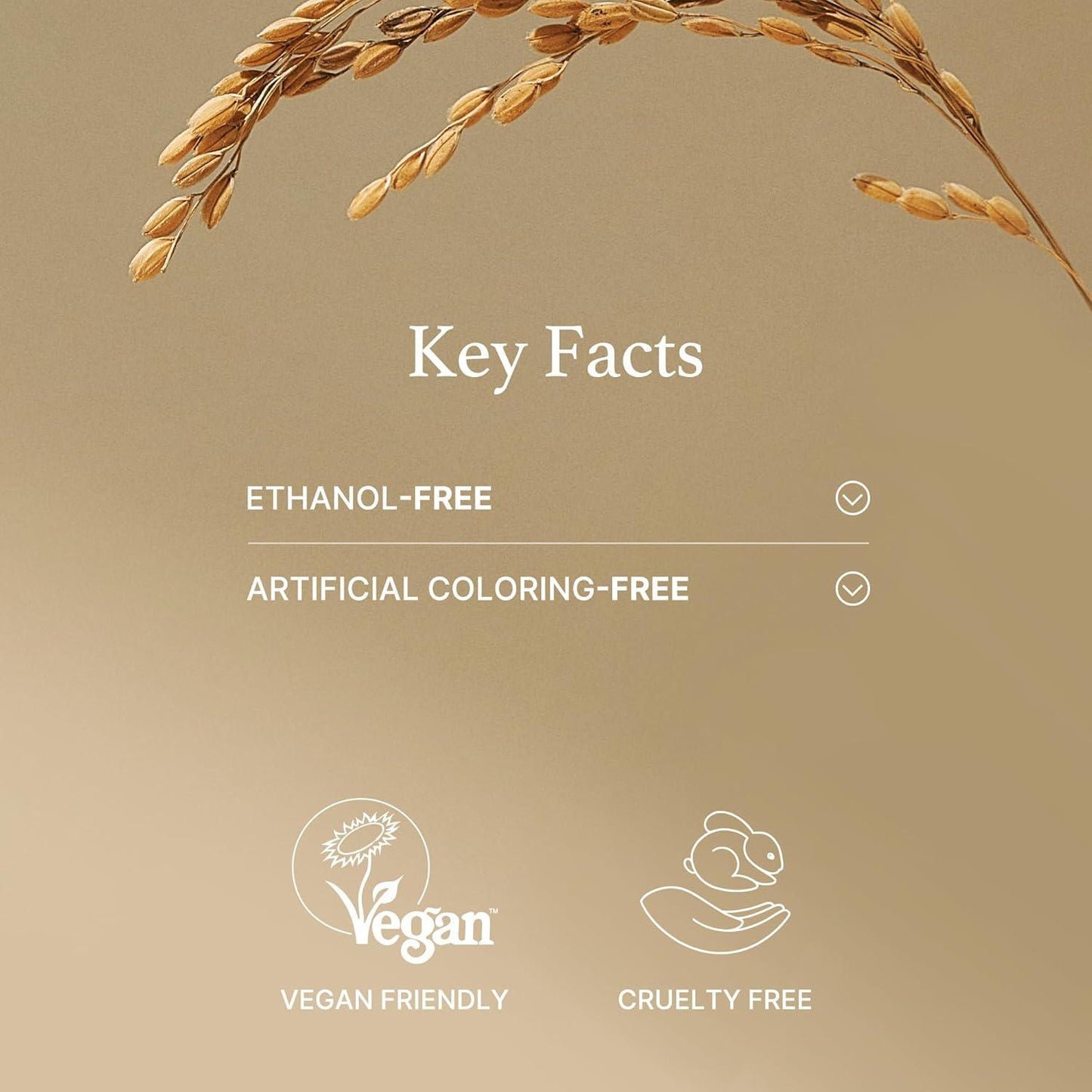 Rice Mask — 110g